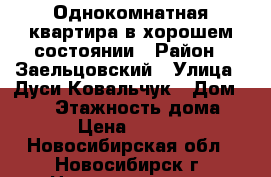 Однокомнатная квартира в хорошем состоянии › Район ­ Заельцовский › Улица ­ Дуси Ковальчук › Дом ­ 252 › Этажность дома ­ 16 › Цена ­ 13 000 - Новосибирская обл., Новосибирск г. Недвижимость » Квартиры аренда   . Новосибирская обл.,Новосибирск г.